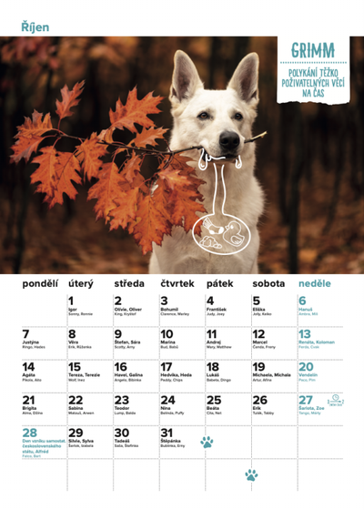 DOGPOINT Charity wall calendar 2024