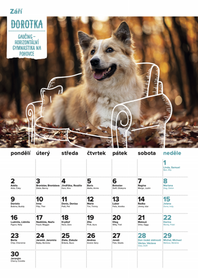 DOGPOINT Charity wall calendar 2024
