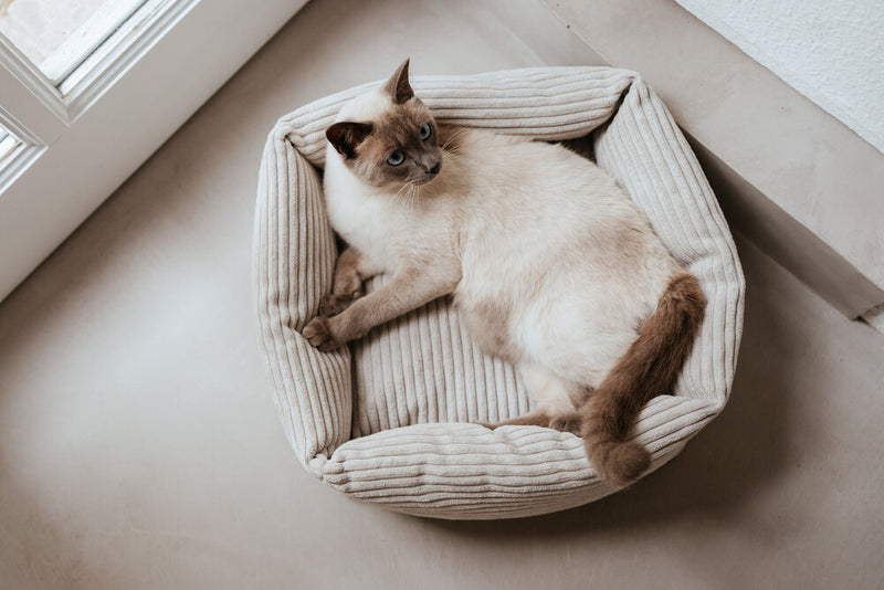 RIMINI cat bed - beige