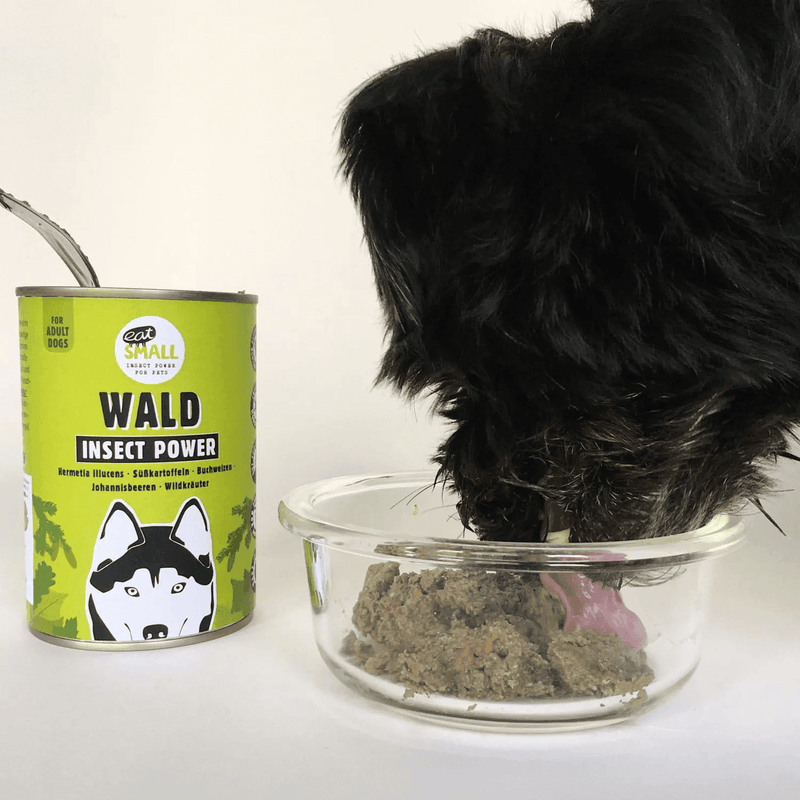 EAT SMALL Canned insects for dogs - WALD