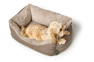 ROCKFORD orthopedic bed - beige