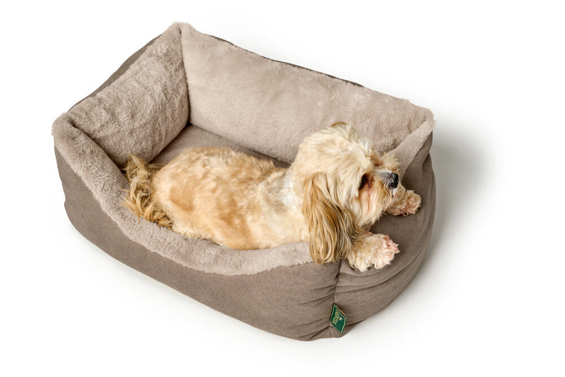 ROCKFORD orthopedic bed - beige