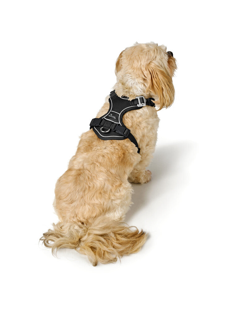 DIVO UP harness - black