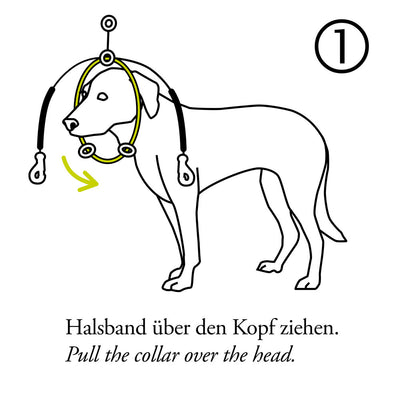 SIDE-BY-SIDE training harness