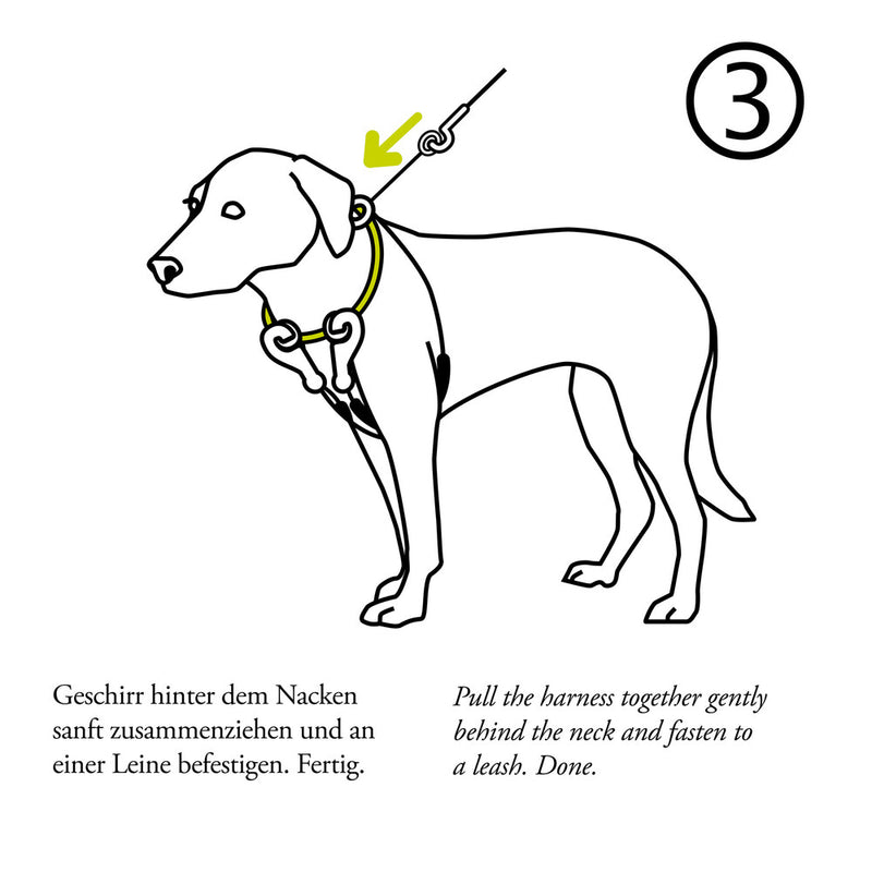 SIDE-BY-SIDE training harness