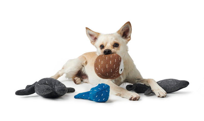 Dog toy TIRANA Ball - small