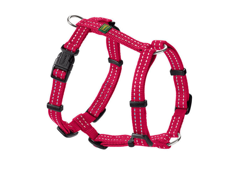 TRIPOLI harness - raspberry