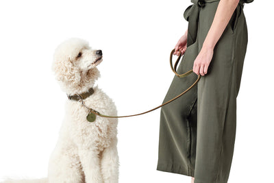 Leather leash - olive