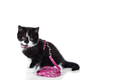 Cat harness with leash "by Laura" - pink