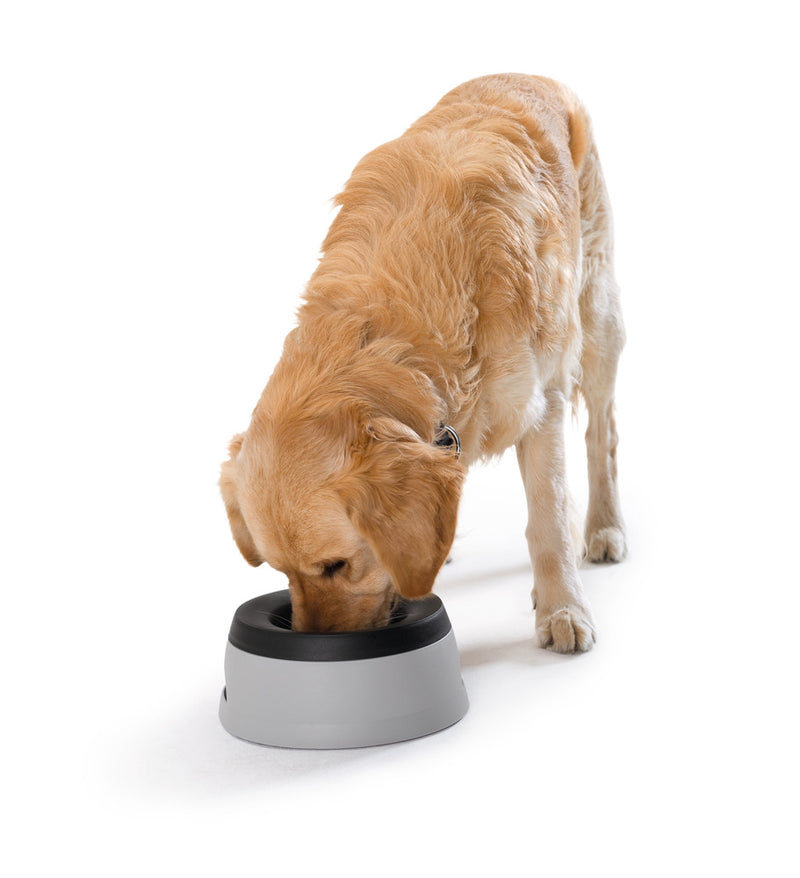 ROAD REFRESHER travel bowl - Main Image