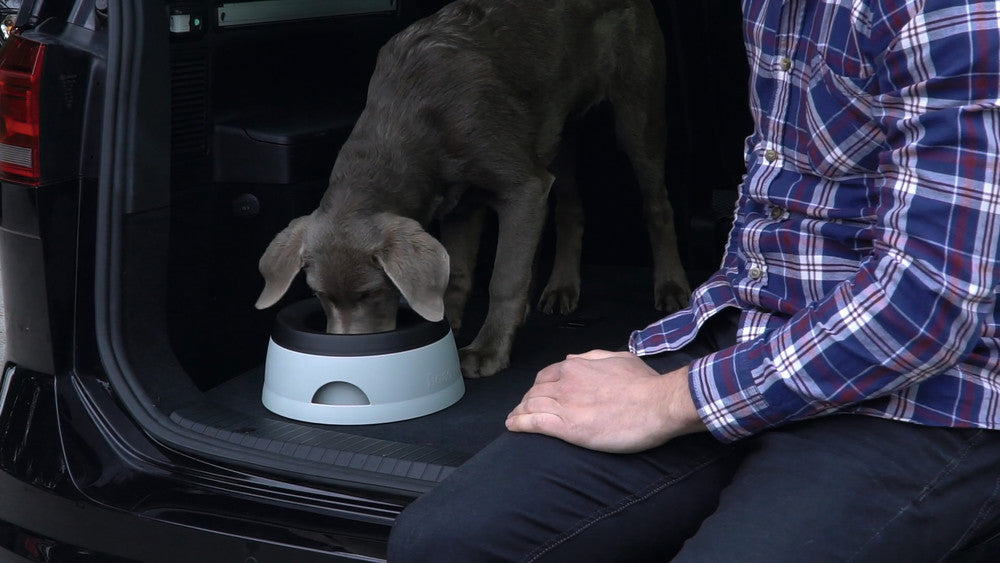 ROAD REFRESHER travel bowl – We love dogs CZ - Main Image