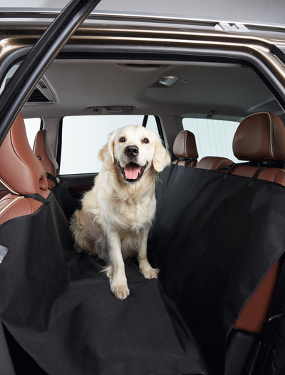 Protective cover for the rear car seats