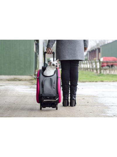 Bag on wheels - Trolley 4 in 1 - pink