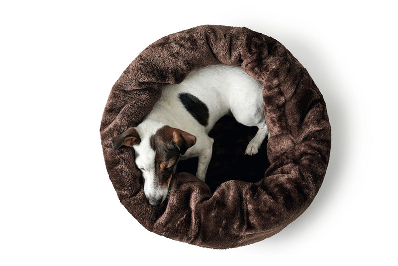 LIVINGSTON dog/cat bed - beige