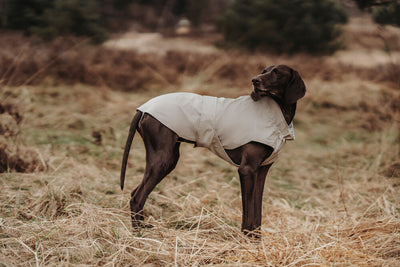 MILFORD raincoat - slate