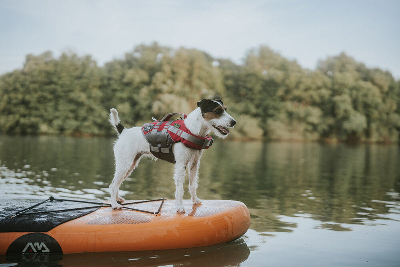 MOSS plavací vesta pro psy