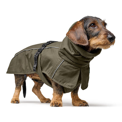 NORDBY jacket for dachshunds - olive