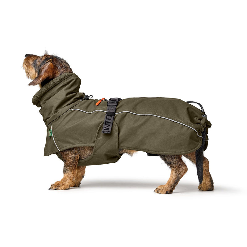 NORDBY jacket for dachshunds - olive