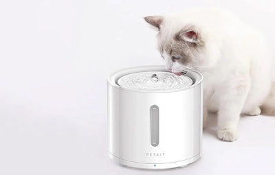 PetKit EverSweet Solo 2 Cat Fountain