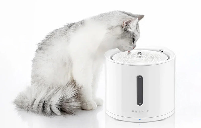 PetKit EverSweet Solo 2 Cat Fountain