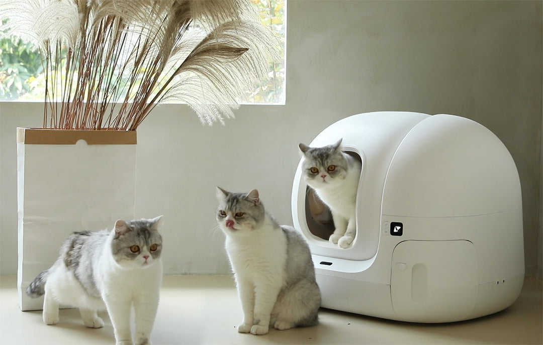 PetKit Pura MAX self-cleaning cat litter box – We love dogs CZ PetKit Pura MAX self-cleaning cat litter box – We love dogs CZ