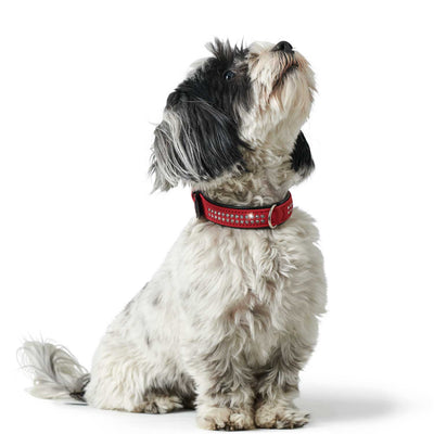 SOFTIE DELUXE collar - red