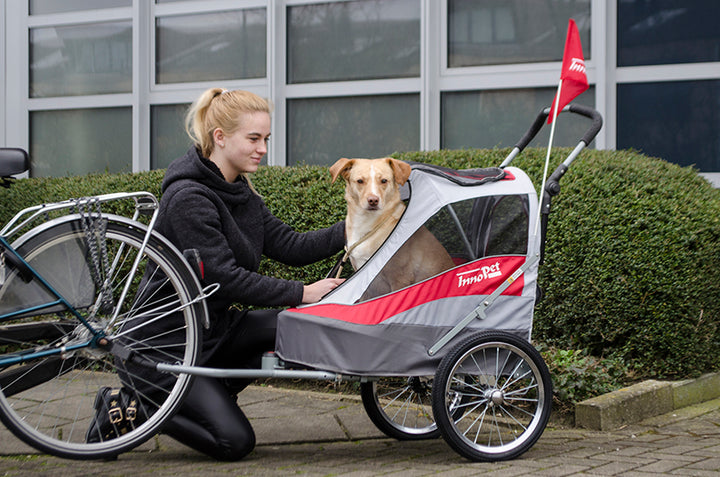 sporty dog stroller STROLLER Sporty dog ​​- red – We love dogs CZ