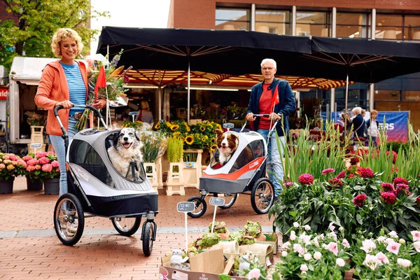 innopet sporty dog stroller STROLLER Sporty dog ​​- red – We love dogs CZ