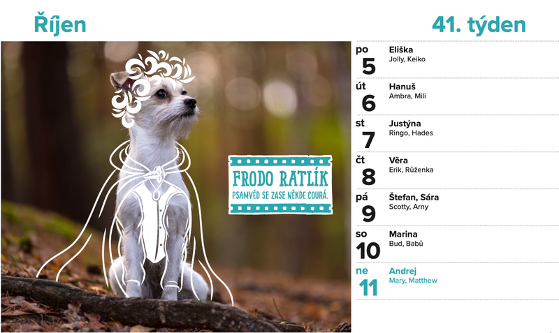 DOGPOINT Charity Calendar 2026 - Desk Calendar