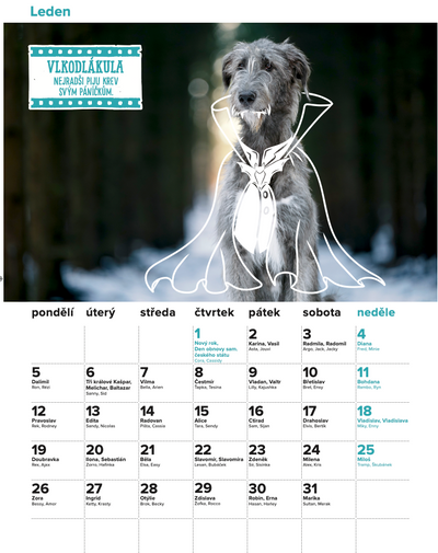 DOGPOINT Charitativní kalendář 2026 - nástěnný
