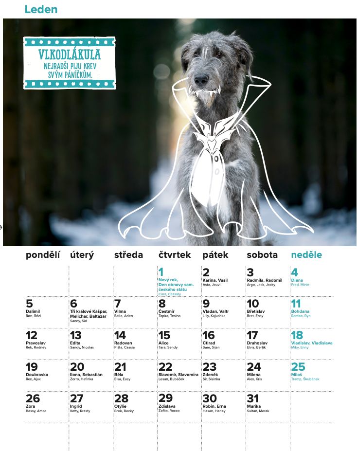 DOGPOINT Charitativní kalendář 2026 - nástěnný