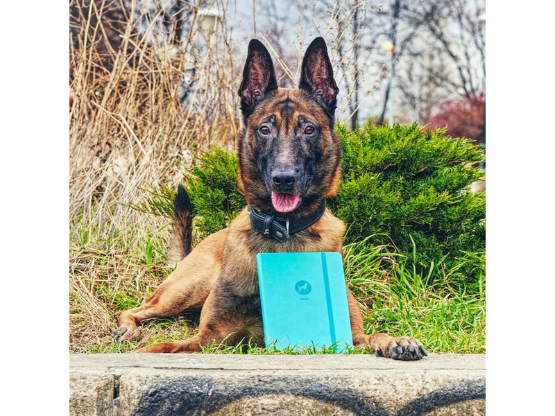 DOGPOINT Charitativní diář 2026