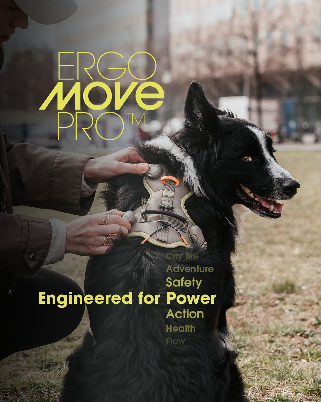 ErgoMove Pro™ postroj
