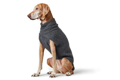 GENF psí rolák - antracit