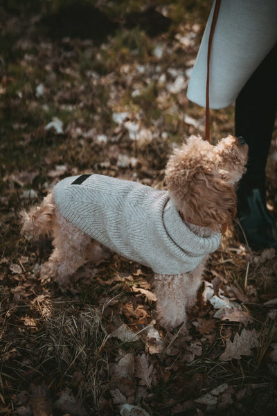 GENF psí rolák - béžová