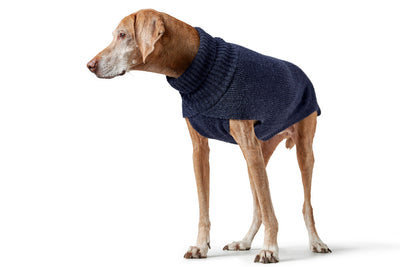 GENF psí rolák - tmavě modrá