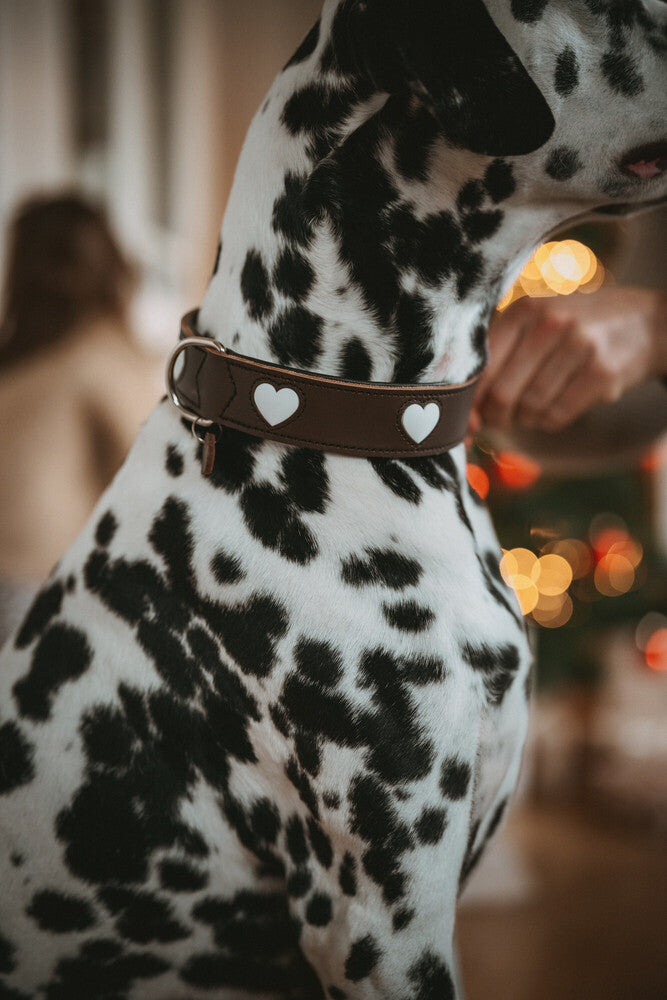 LOVE collar - brown