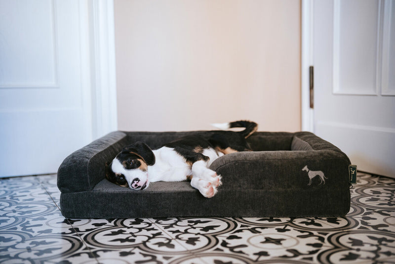 MELUN ortopedická pohovka - antracit