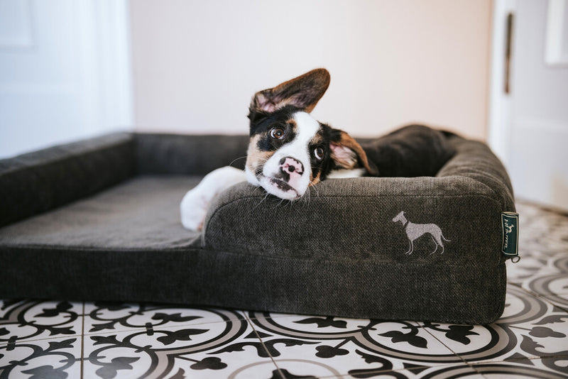 MELUN ortopedická pohovka - antracit