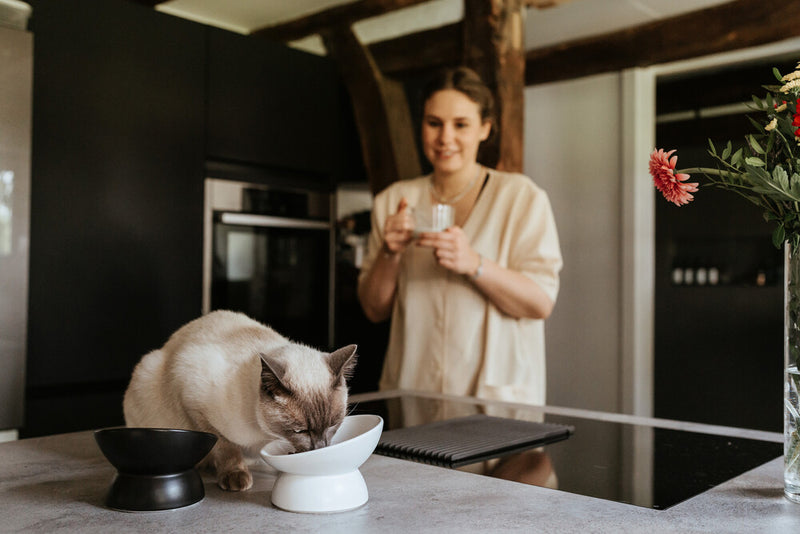 LANGA cat bowl - black