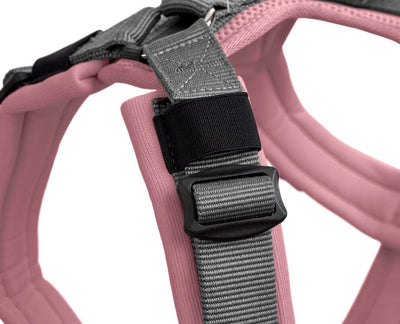MALDON harness - dusty pink