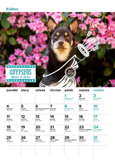 DOGPOINT Charitativní kalendář 2026 - nástěnný