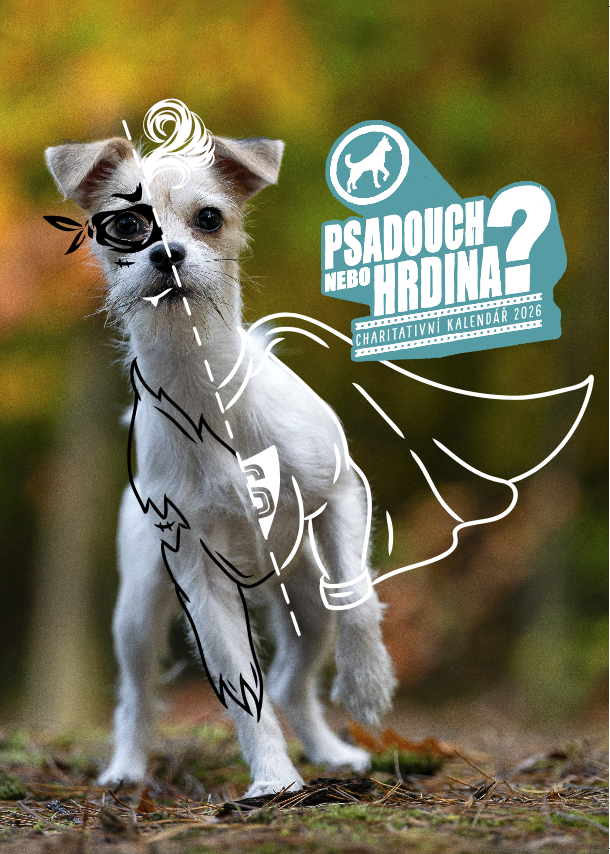 DOGPOINT Charitativní kalendář 2026 - nástěnný