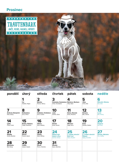 DOGPOINT Charitativní kalendář 2026 - nástěnný