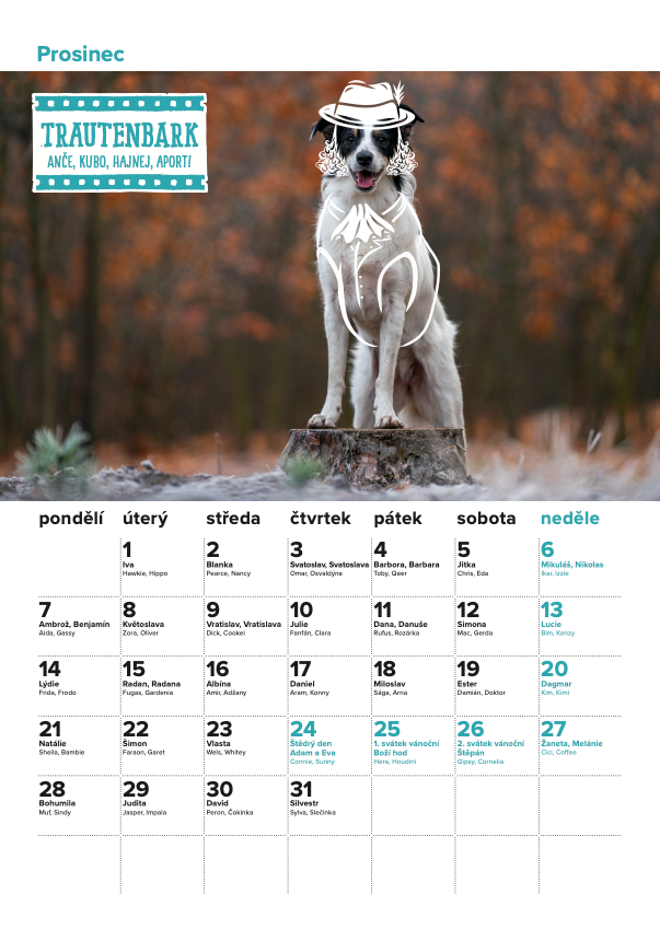 DOGPOINT Charitativní kalendář 2026 - nástěnný