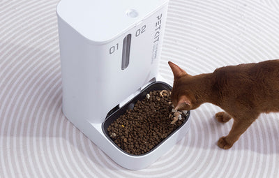 PetKit smart food dispenser Yumshare Dual