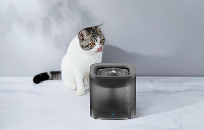 PetKit Eversweet Solo SE cat fountain