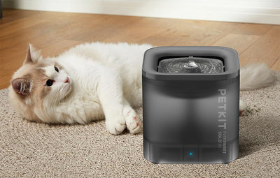 PetKit Eversweet Solo SE cat fountain