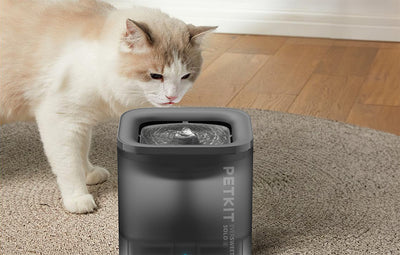 PetKit Eversweet Solo SE cat fountain