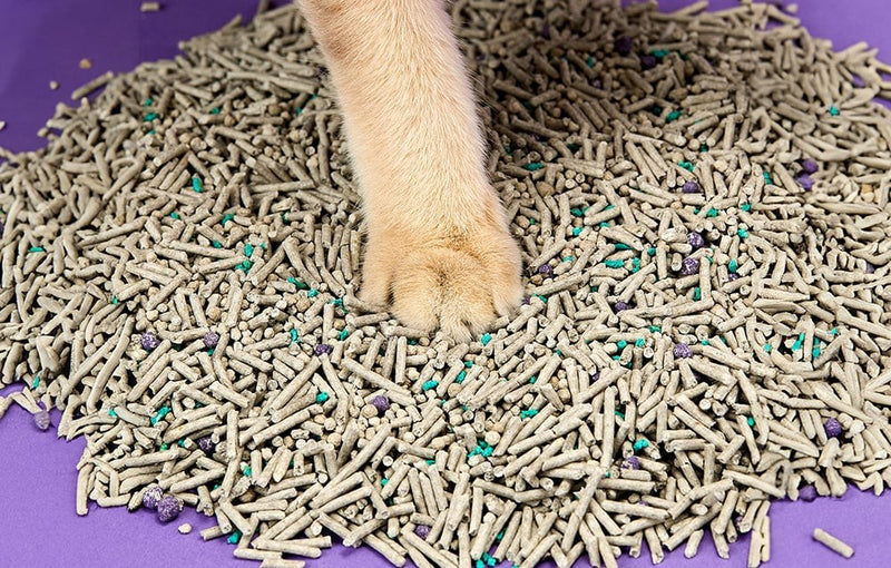 PetKit cat litter